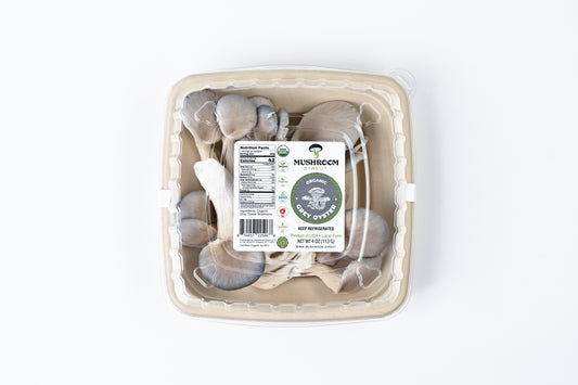 Grey Oyster Mushrooms