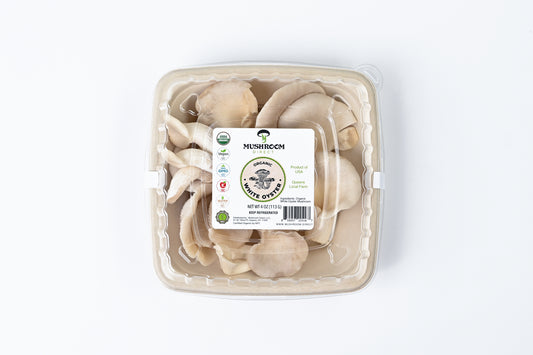 White Oyster Mushrooms